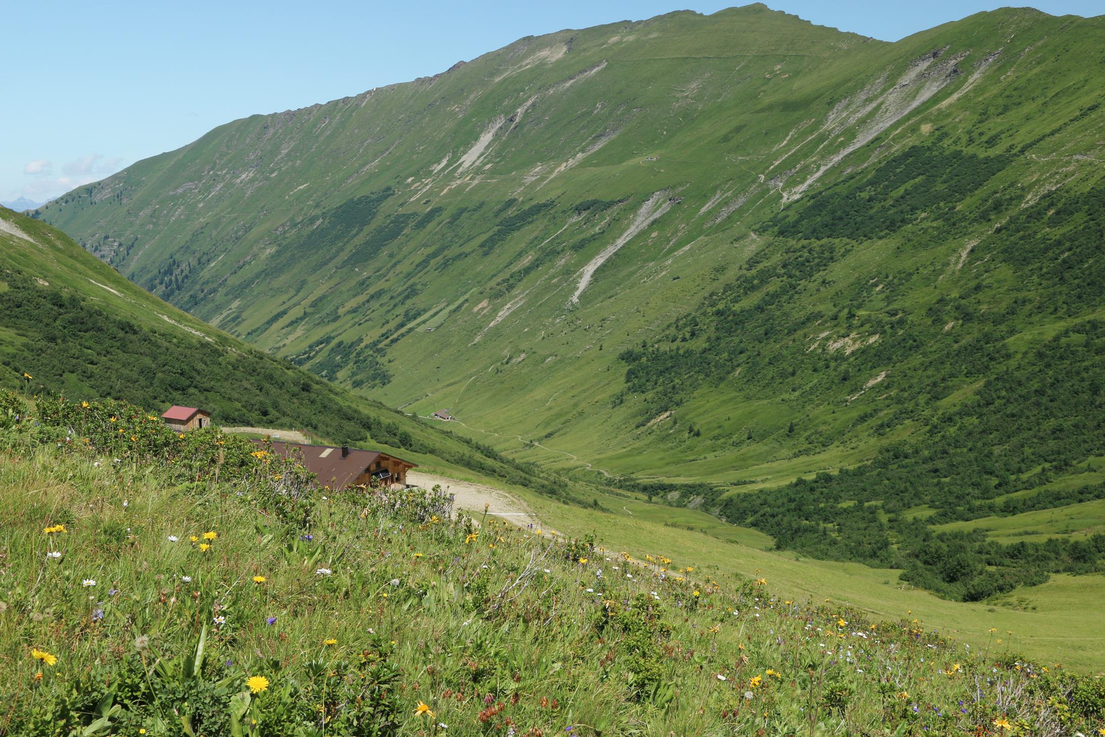 Gstaad Wasserngrat, Trütlisbergpass, Betelberg 4.8.2019