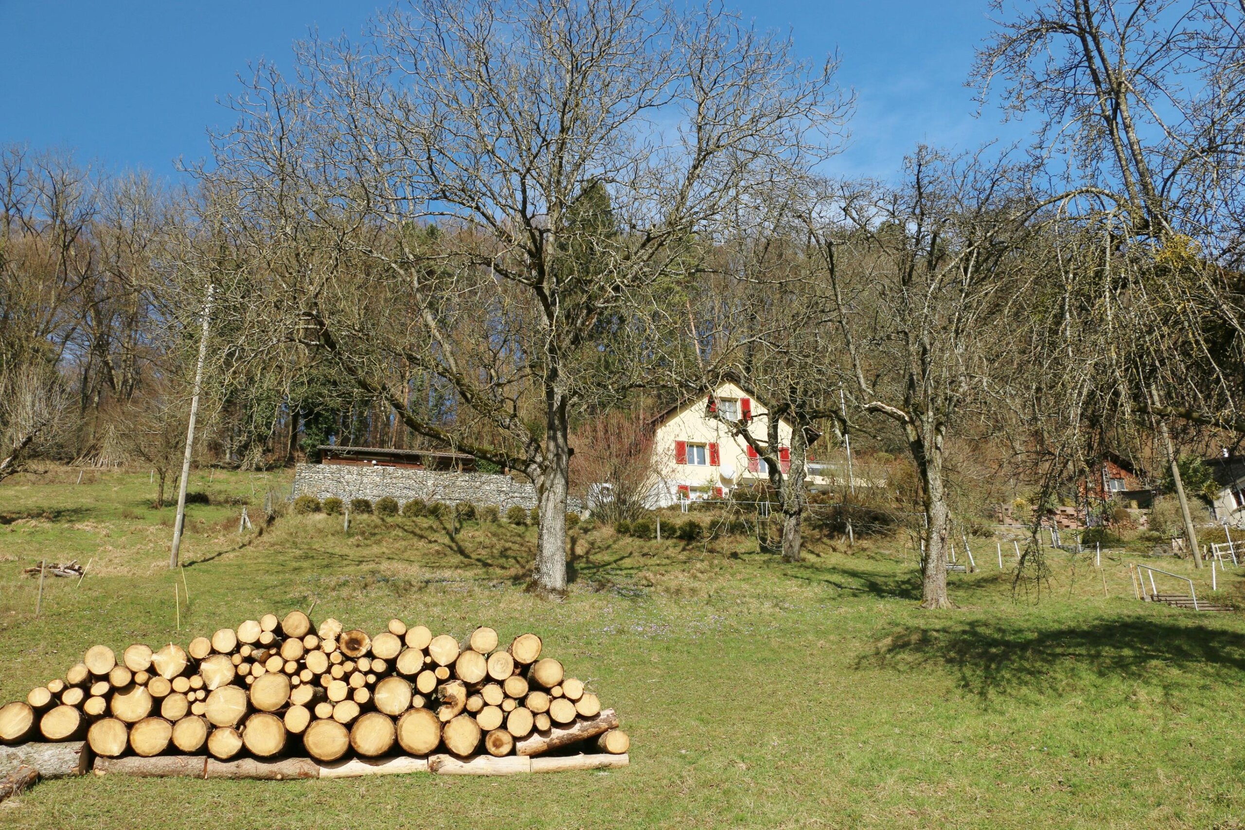 Seeländer Wanderung 16.2.2020