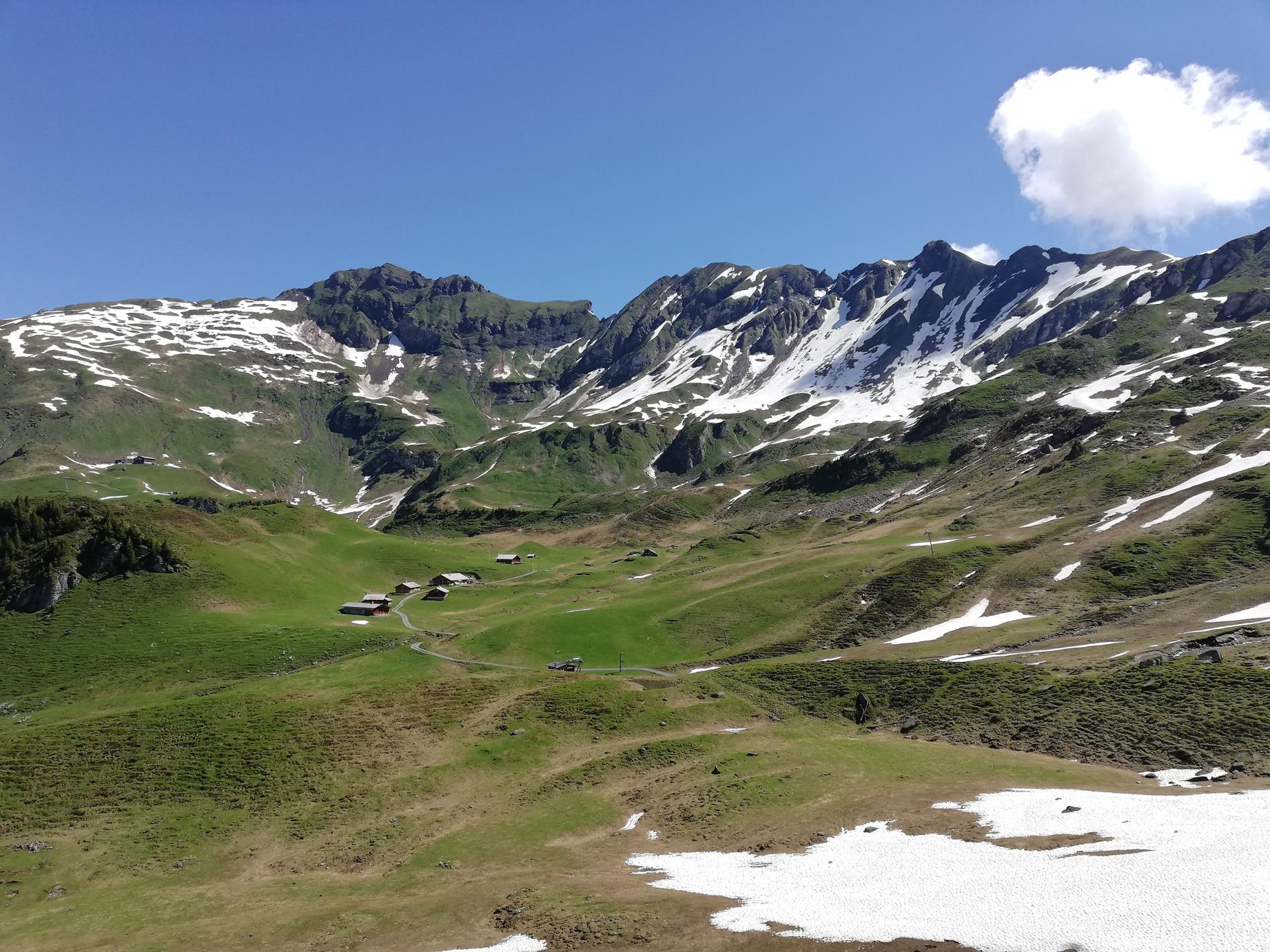 Hasliberg Mägisalp, Käserstatt 23.6.2019