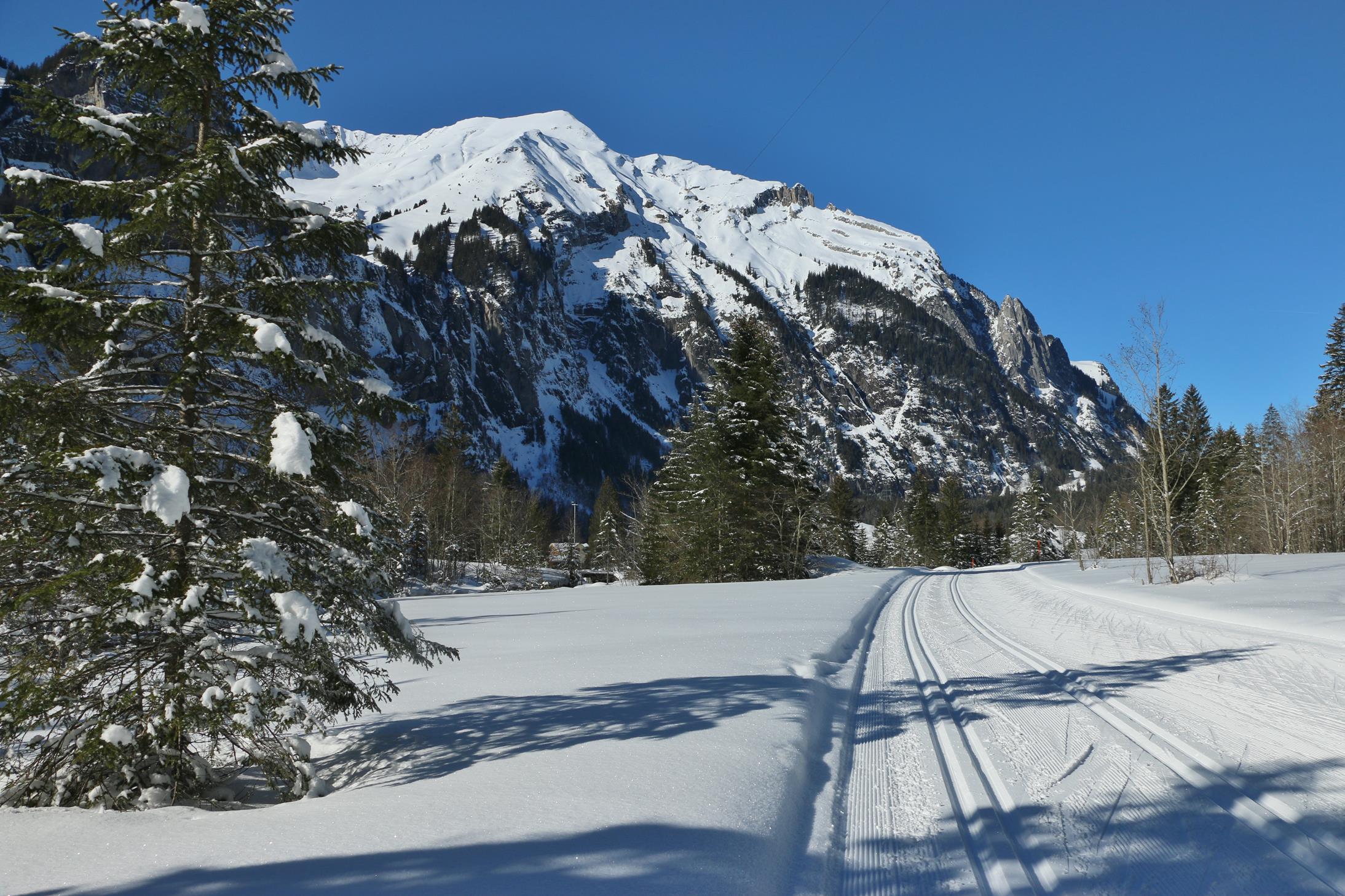 Rote Langlaufstrecke 5.2.2019