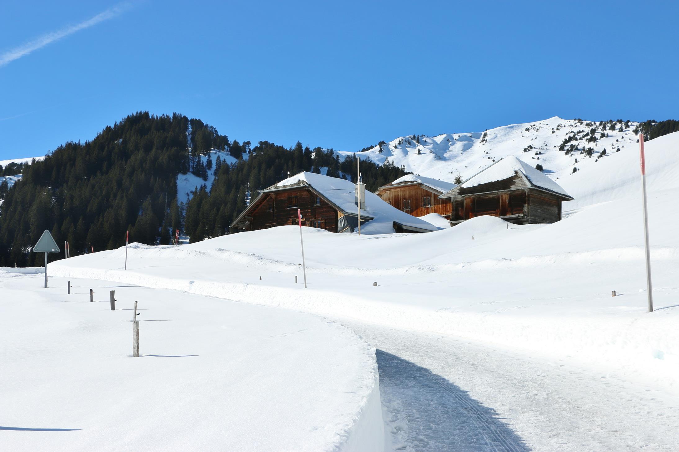 Fahrt nach Sarnen, Spaziergang zum Glaubenbergpass 14.2.2019