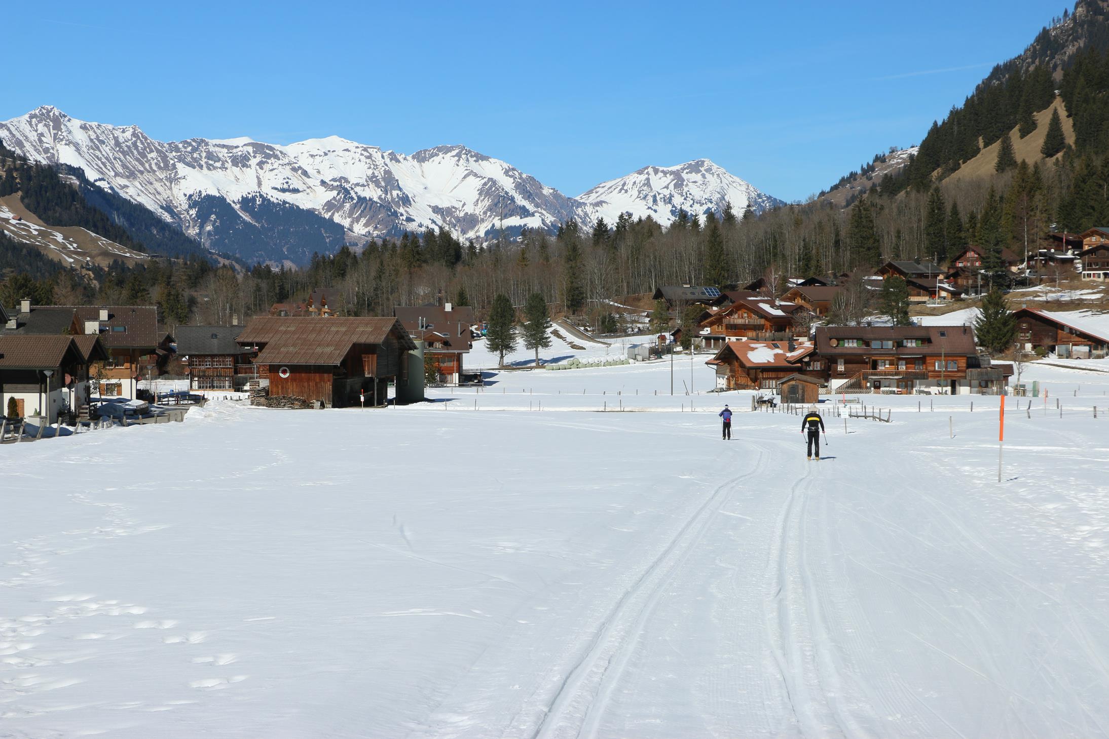 Schnee Frühling 27.2.2019