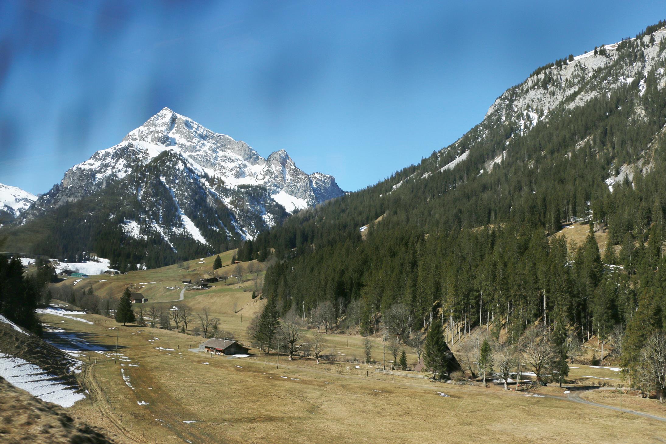 Diemtigtal Talwanderung 30.3.2019