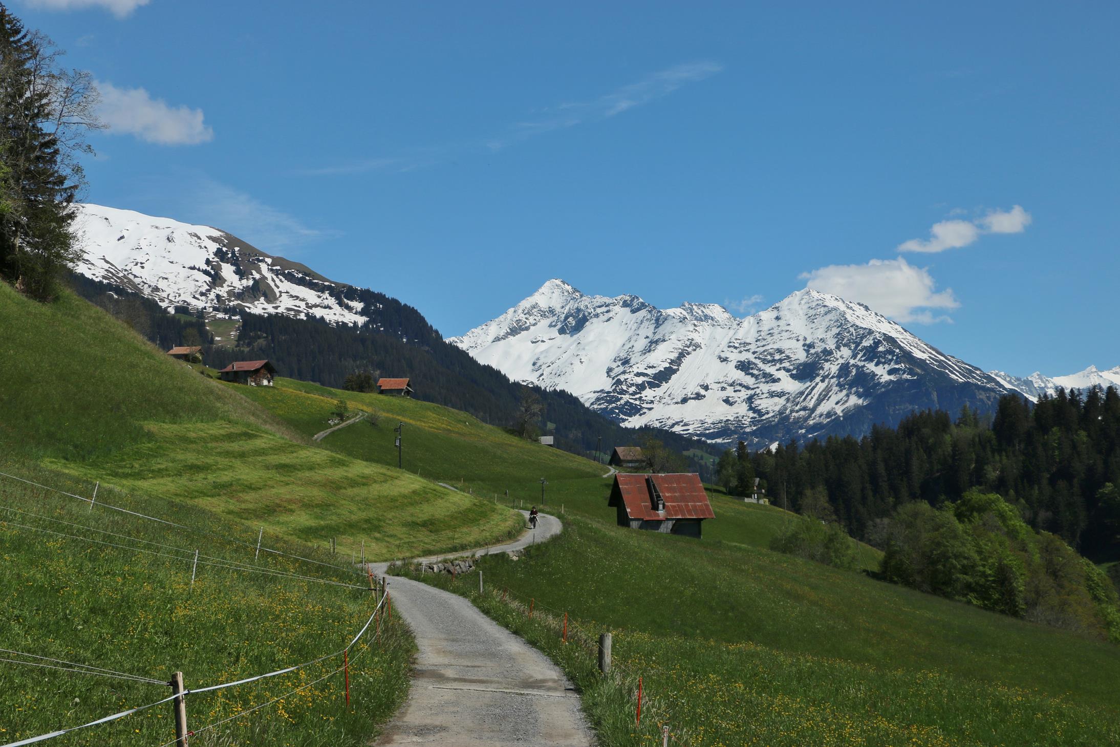 Brünigpass bis Hasliberg Goldern 31.5.2019