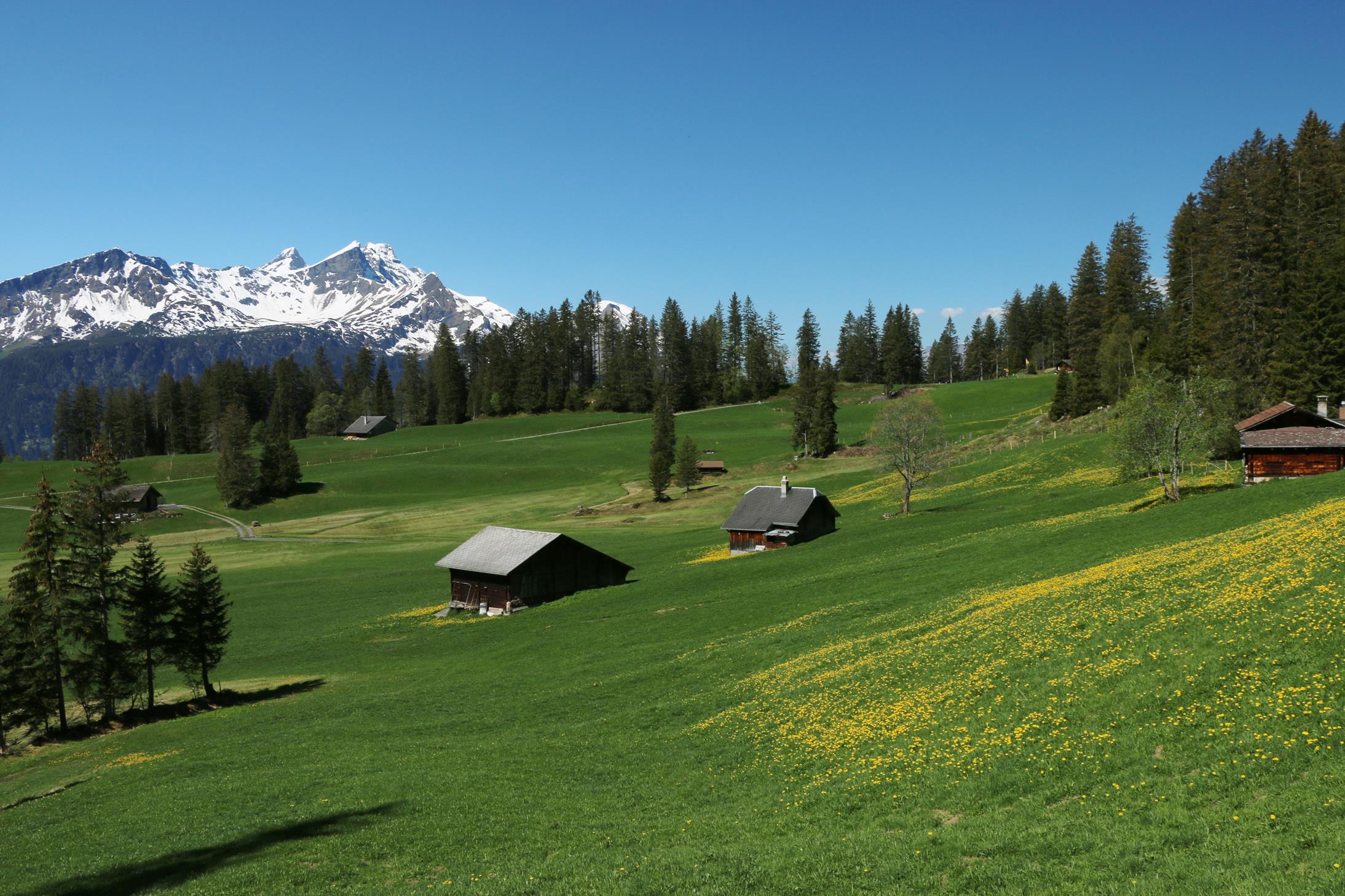 Mägisalp, Bidmi Hasliberg Wasserwendi 3.6.2019