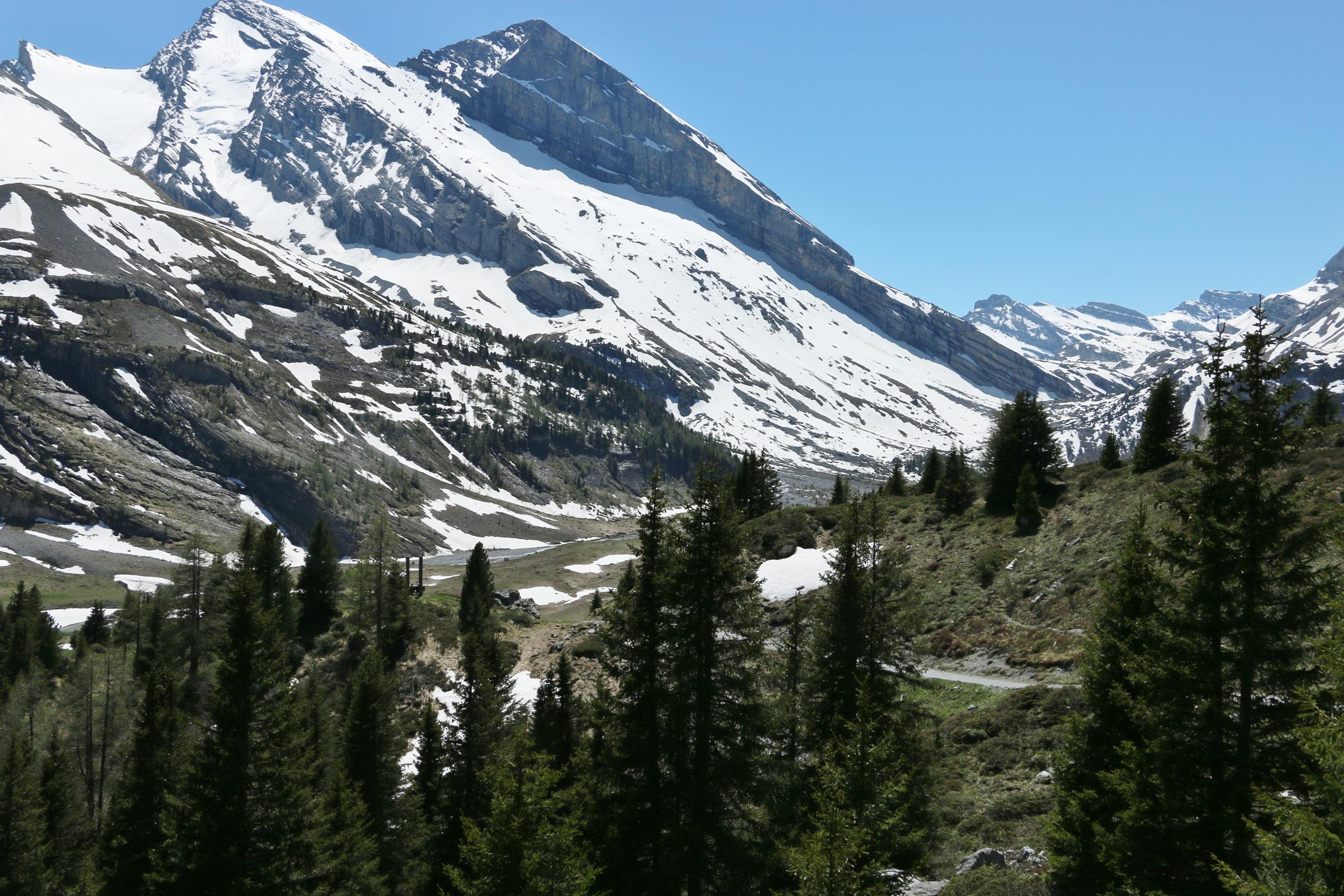 Abenteuer Schnee und Blumen Sunnbüel 8.6.2019