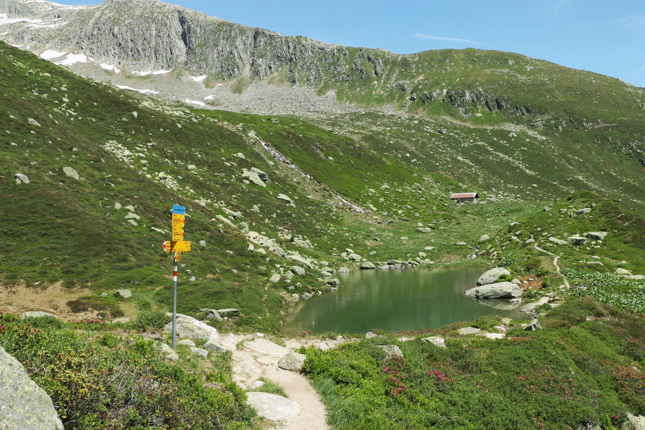 Cuolm da Vi, Gendusas, Lag da Tgauns, Lag Serein, Disentis 5.7.2019