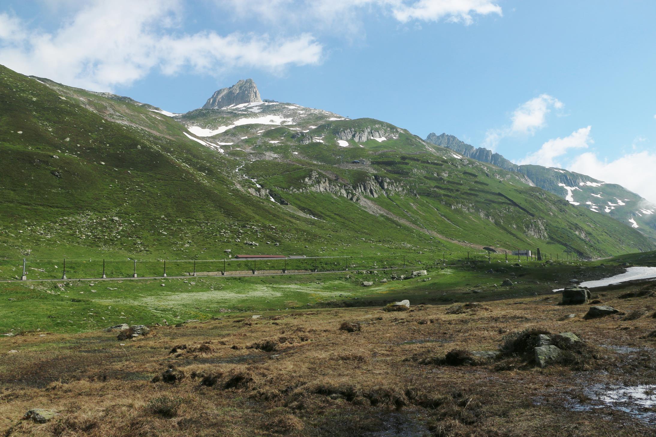 Oberalppass, Nätschen bei Andermatt 9.7.2019