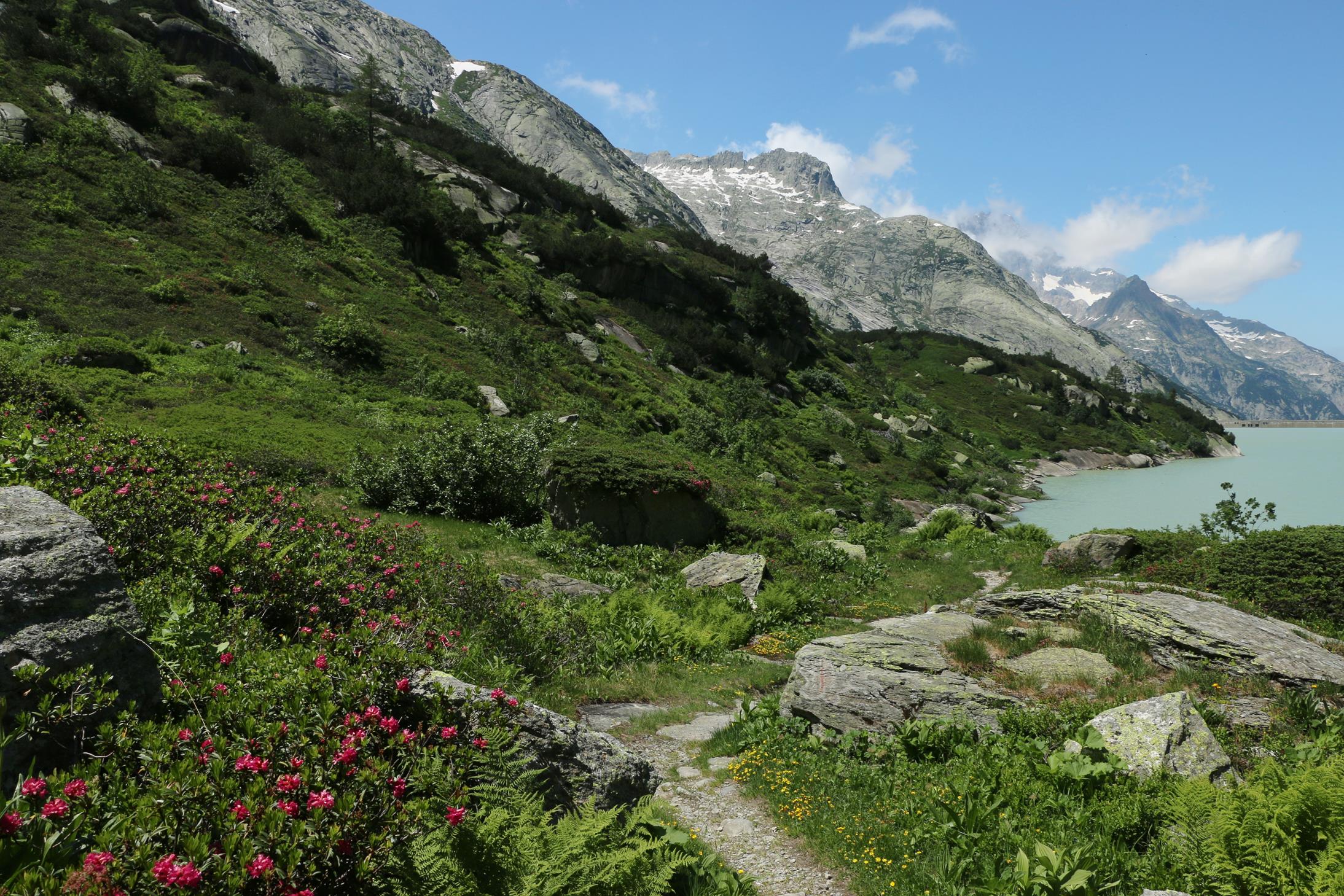 Grimsel Station Sommerloch bis Gelmerbahn 10.7.2019