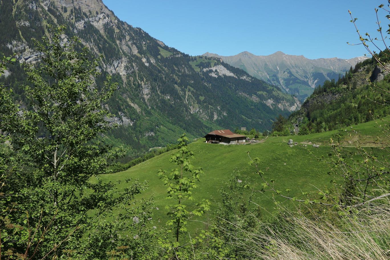 Oben von Kandersteg nach Mitholz und Tal zurück 21.5.2020