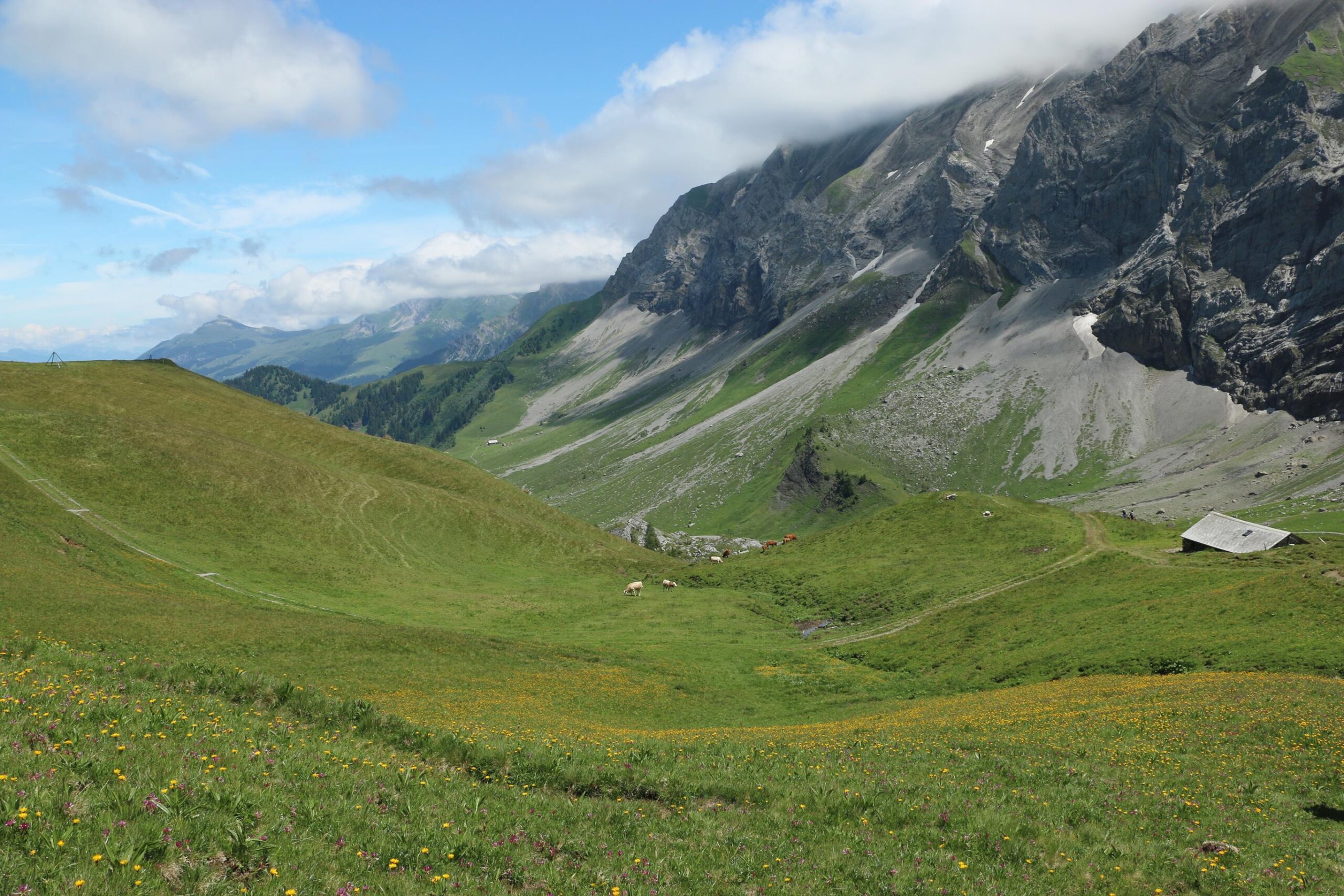 Silleren, Hahnenmoos, hinten rum, Bergläger 4.7.2020