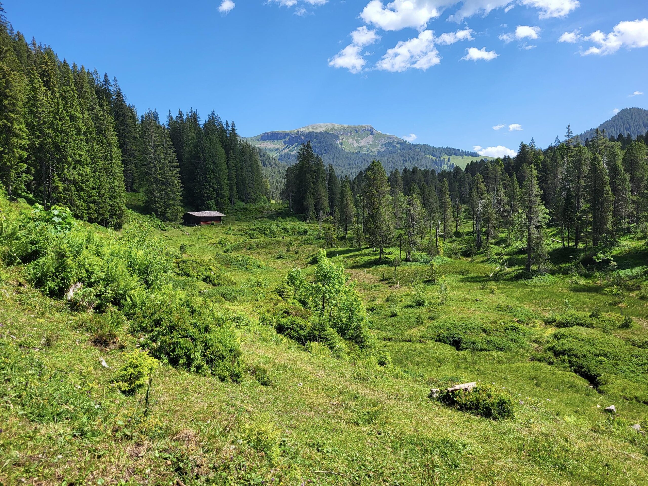 Grüenebergpass 7.7.2023