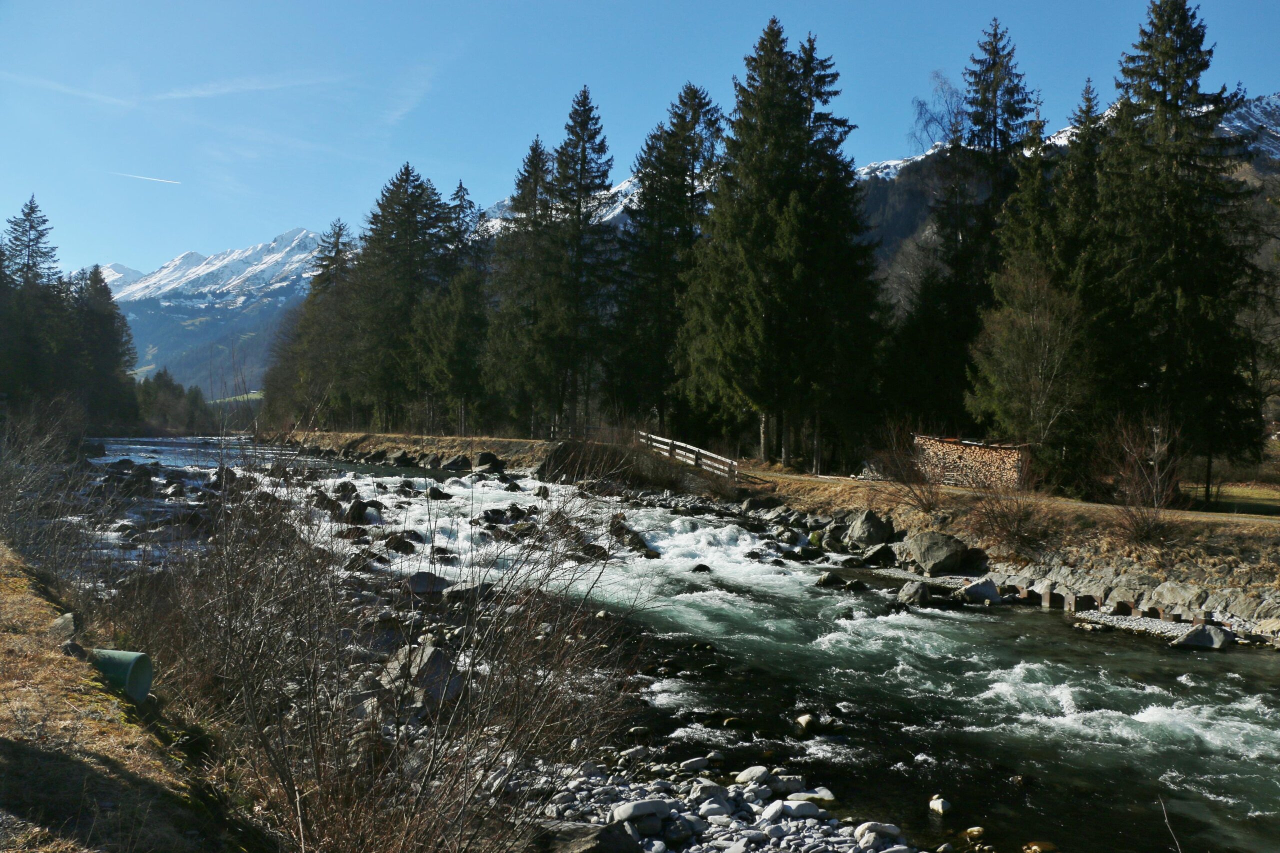 Frutigen Reichenbach und Zurück 3.2.2024