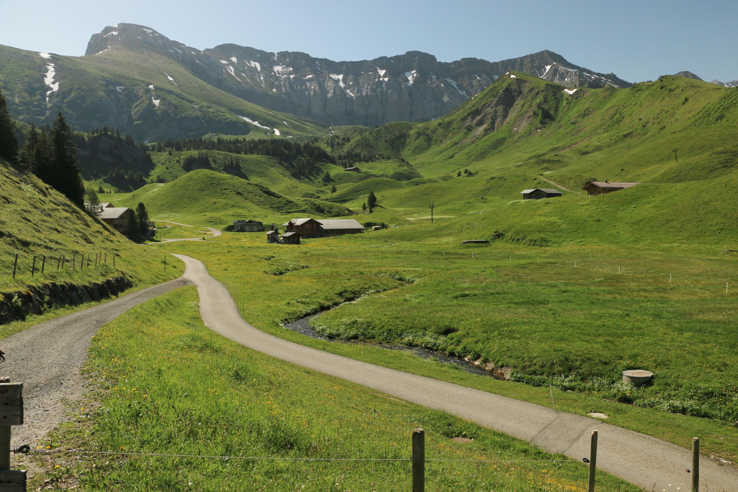 Von Elsigenalp nach Adelboden 19.6.24