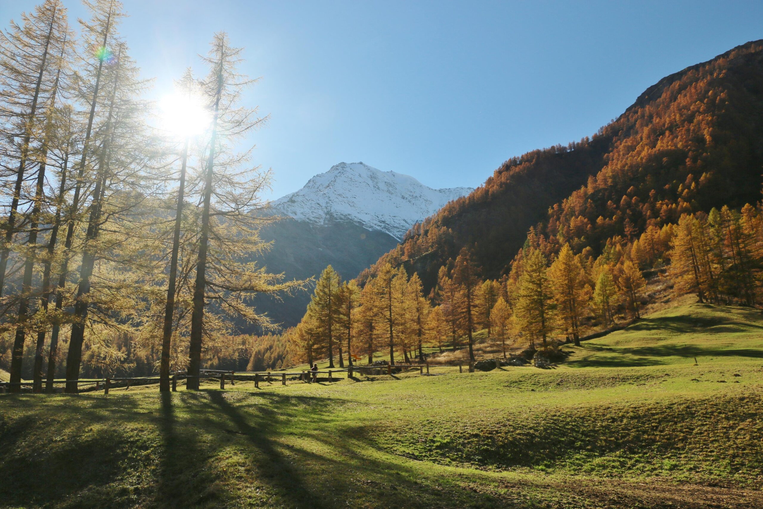 Simplonpass bis Simplon Dorf 2.11.2024